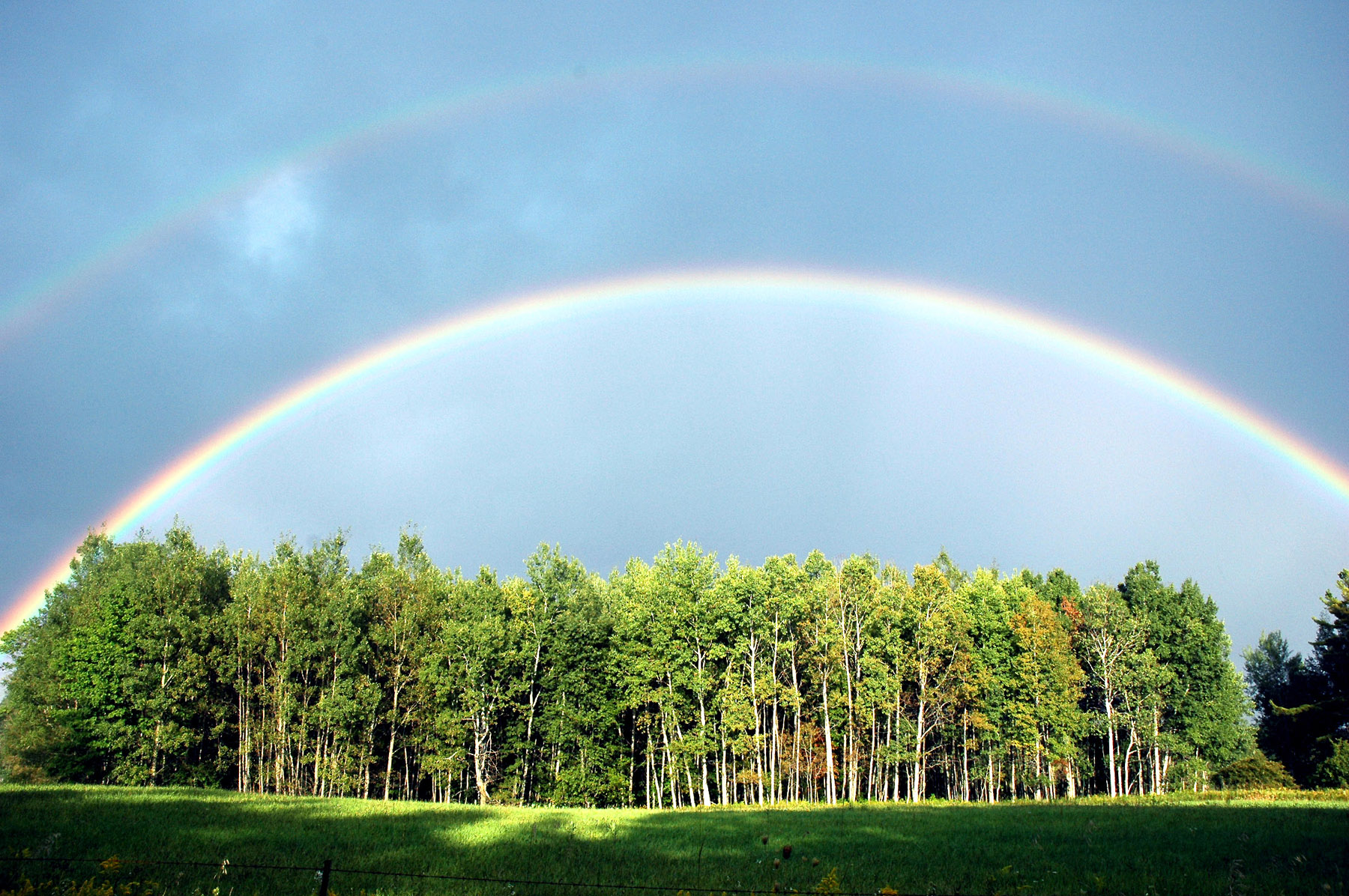 FULL DOUBLE RAINBOW OVER TREES
